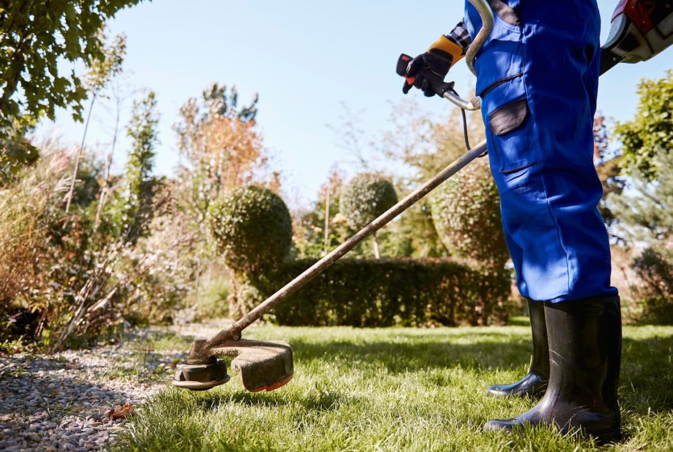 Trust us to take care of your commercial property's lawn whether it needs a mow, irrigation, seed planting or more.